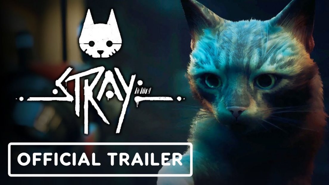 stray on pc download stray on pc download